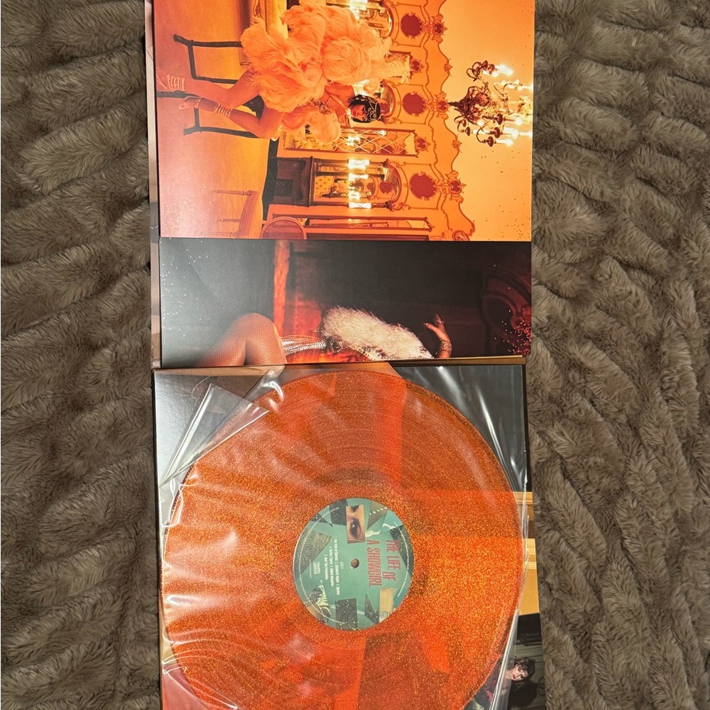 Taylor Swift - The Life of a Showgirl Vinyl - Picture 4 of 6